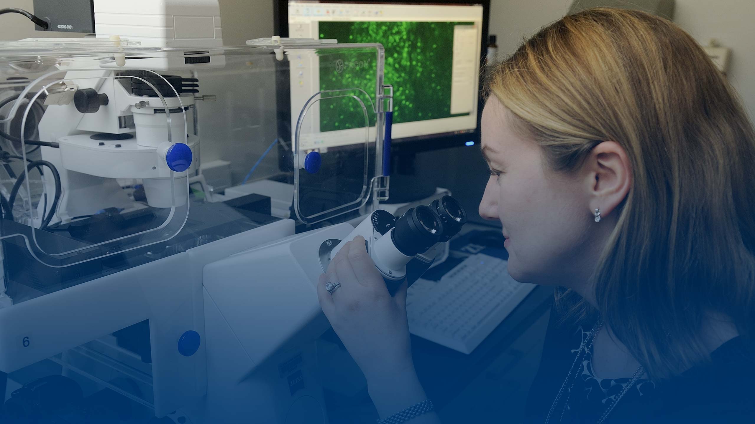 Science technician looking through a microscope