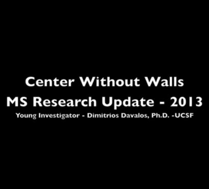 2013 MS Research Update – Dimitrios Davalos, Ph.D